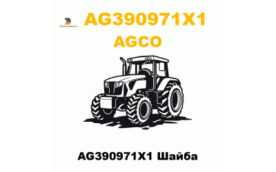 AG390971X1 Шайба