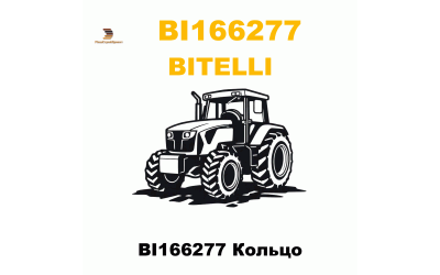 BI166277 Кольцо