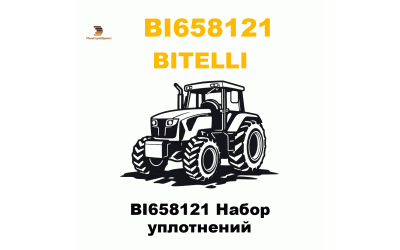 BI658121 Набор уплотнений