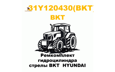 31Y1-20430 Ремкомплект гидроцилиндра стрелы BKT  HYUNDAI
