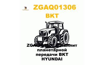 ZGAQ-01306 Сателлит планетарной передачи BKT HYUNDAI ZGAQ-01306 Сателлит планетарной передачи BKT HYUNDAI
