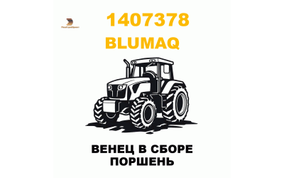 ВЕНЕЦ В СБОРЕ ПОРШЕНЬ