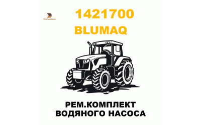 РЕМ.КОМПЛЕКТ ВОДЯНОГО НАСОСА