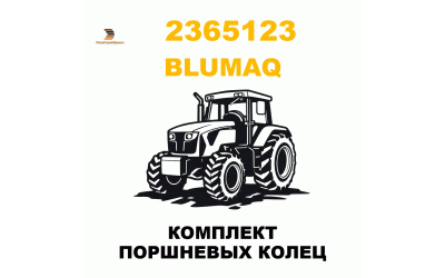 КОМПЛЕКТ ПОРШНЕВЫХ КОЛЕЦ