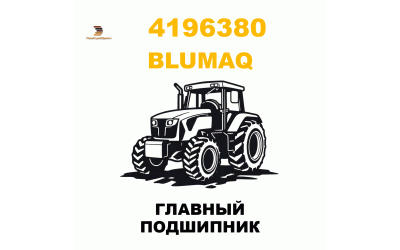ГЛАВНЫЙ ПОДШИПНИК ГЛАВНЫЙ ПОДШИПНИК