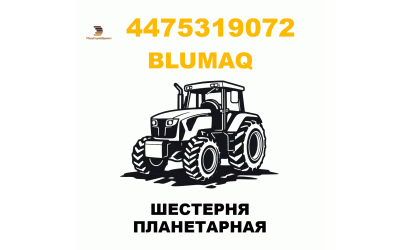 ШЕСТЕРНЯ ПЛАНЕТАРНАЯ