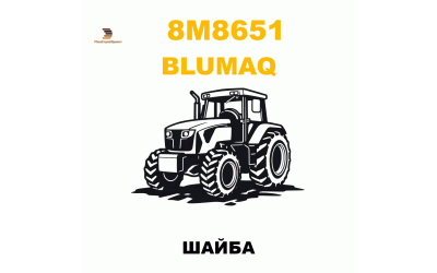 ШАЙБА