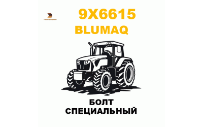 Blumaq 9X6-615 - БОЛТ СПЕЦИАЛЬНЫЙ Blumaq 9X6-615 - БОЛТ СПЕЦИАЛЬНЫЙ