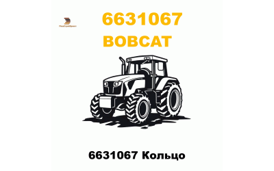 6631067 Кольцо