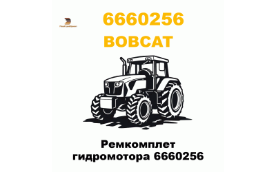 Ремкомплет гидромотора 6660256
