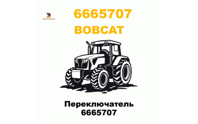 Переключатель 6665707