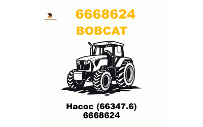 Насос (66347.6) 6668624