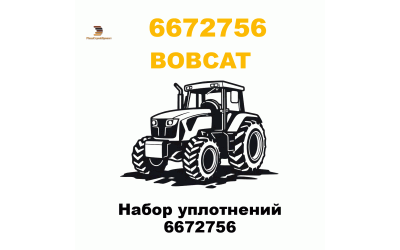Набор уплотнений 6672756