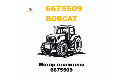 Мотор отопителя 6675509