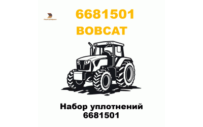 Набор уплотнений 6681501