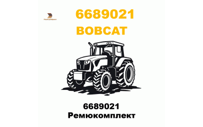 6689021 Ремюкомплект