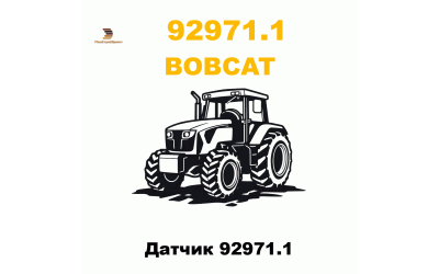 Датчик 92971.1