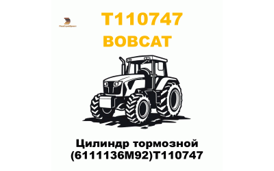 Цилиндр тормозной (6111136M92)T110747