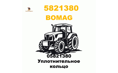 05821380 Уплотнительное кольцо