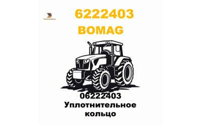 06222403 Уплотнительное кольцо