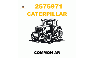 COMMON AR COMMON AR