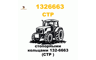 Юбка поршня со стопорными кольцами 132-6663 (CTP ) Юбка поршня со стопорными кольцами 132-6663 (CTP )