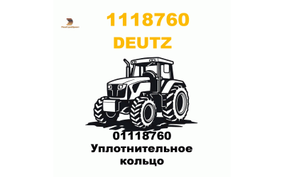 01118760 Уплотнительное кольцо