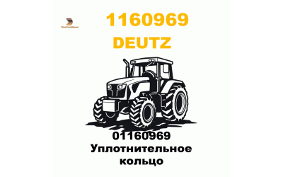 01160969 Уплотнительное кольцо