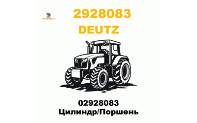 02928083 Цилиндр/Поршень