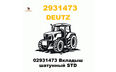 02931473 Вкладыш шатунный STD
