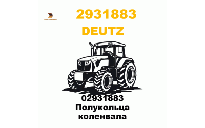 02931883 Полукольца коленвала