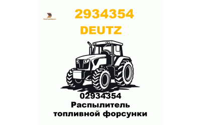 02934354 Распылитель топливной форсунки