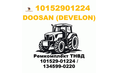 Ремкомплект ТНВД 101529-01224 / 134599-0220