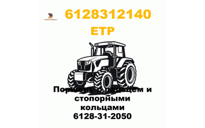 Поршень с пальцем и стопорными кольцами 6128-31-2050