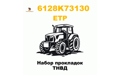 Набор прокладок ТНВД Набор прокладок ТНВД