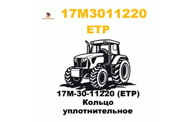 17M-30-11220 (ETP) Кольцо уплотнительное