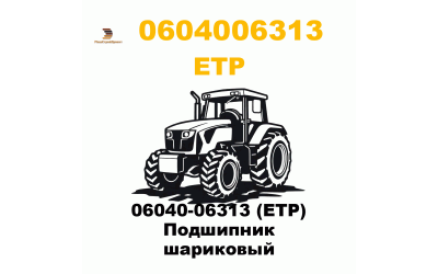 06040-06313 (ETP) Подшипник шариковый