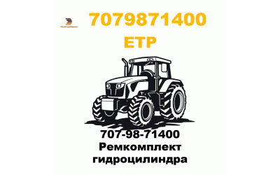 707-98-71400 Ремкомплект гидроцилиндра