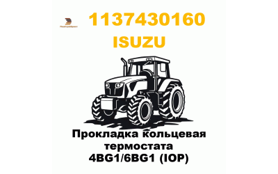 Прокладка кольцевая термостата 4BG1/6BG1 (IOP) Прокладка кольцевая термостата 4BG1/6BG1 (IOP)