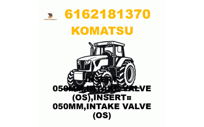 INSERT, 050MM,INTAKE VALVE (OS),INSERT¤ 050MM,INTAKE VALVE (OS)
