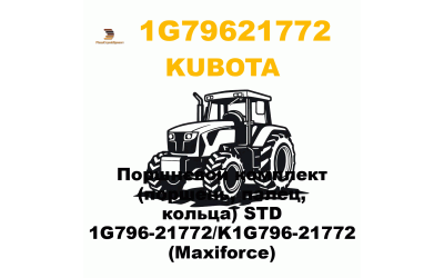 Поршневой комплект (поршень, палец, кольца) STD 1G796-21772/K1G796-21772 (Maxiforce) Поршневой комплект (поршень, палец, кольца) STD 1G796-21772/K1G796-21772 (Maxiforce)