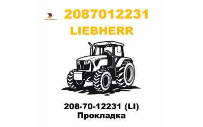 208-70-12231 (LI) Прокладка