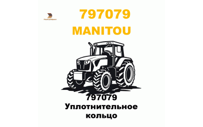 797079 Уплотнительное кольцо