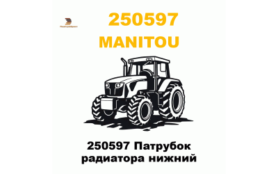 250597 Патрубок радиатора нижний