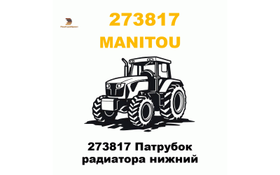 273817 Патрубок радиатора нижний
