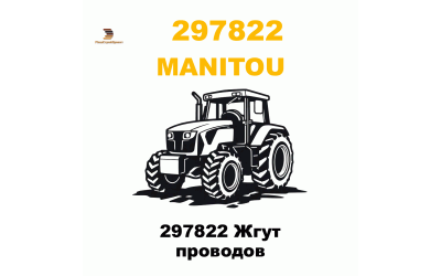 297822 Жгут проводов