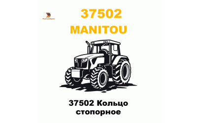 37502 Кольцо стопорное