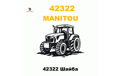 42322 Шайба