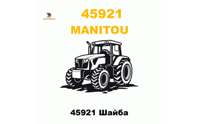 45921 Шайба