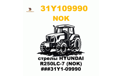 Ремкомплект гидроцилиндра стрелы HYUNDAI R250LC-7 (NOK) ###31Y1-09990 Ремкомплект гидроцилиндра стрелы HYUNDAI R250LC-7 (NOK) ###31Y1-09990